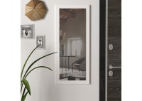 ΚΑΘΡΕΠΤΗΣ ΤΟΙΧΟΥ ΛΕΥΚΟΣ