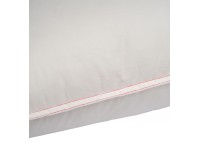 ΜΑΞΙΛΑΡΙ PLUSH