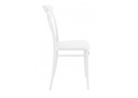 ΚΑΡΕΚΛΑ ΠΟΛΥΠΡΟΠΥΛΕΝΙΟΥ ΛΕΥΚΗ