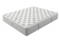 ΣΤΡΩΜΑ MOSS ΑΝΑΤΟΜΙΚΟ