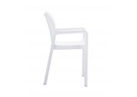 ΠΟΛΥΘΡΟΝΑ ΠΟΛΥΠΡΟΠΥΛΕΝΙΟΥ ΑΣΠΡΗ