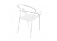 ΠΟΛΥΘΡΟΝΑ ΠΟΛΥΠΡΟΠΥΛΕΝΙΟΥ ΛΕΥΚΗ