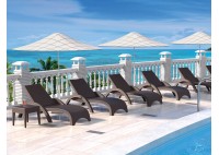 ΞΑΠΛΩΣΤΡΑ ΠΟΛΥΠΡΟΠΥΛΕΝΙΟΥ ΚΑΦΕ