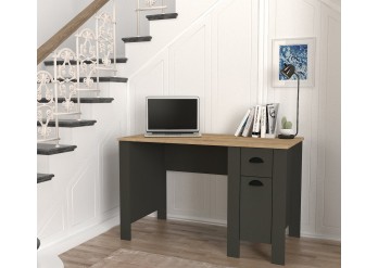 ΓΡΑΦΕΙΟ ΑΝΘΡΑΚΙ-ΦΥΣΙΚΟΥ ΧΡΩΜΑΤΟΣ