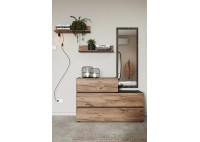 ΣΥΡΤΑΡΙΕΡΑ ΜΕ 3 ΣΥΡΤΑΡΙΑ