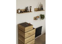 ΣΥΡΤΑΡΙΕΡΑ ΜΕ 5 ΣΥΡΤΑΡΙΑ