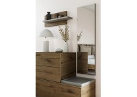 ΡΑΦΙ ΤΟΙΧΟΥ