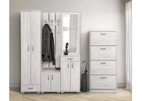 ΚΑΘΡΕΠΤΗΣ ΤΟΙΧΟΥ ΑΠΟΧΡΩΣΗ ΔΡΥΣ ΠΑΓΟΥ