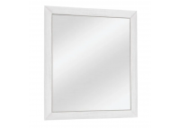 ΚΑΘΡΕΠΤΗΣ ΤΟΙΧΟΥ ΑΠΟΧΡΩΣΗ ΔΡΥΣ ΠΑΓΟΥ