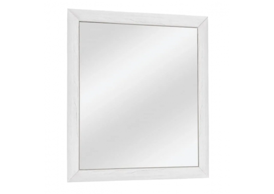 ΚΑΘΡΕΠΤΗΣ ΤΟΙΧΟΥ ΑΠΟΧΡΩΣΗ ΔΡΥΣ ΠΑΓΟΥ