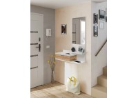 ΕΠΙΠΛΟ ΕΙΣΟΔΟΥ ΑΠΟΧΡΩΣΗ ΦΥΣΙΚΟ - ΛΕΥΚΟ ΜΕ ΚΑΘΡΕΠΤΗ