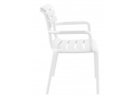 ΠΟΛΥΘΡΟΝΑ ΠΟΛΥΠΡΟΠΥΛΕΝΙΟΥ ΑΣΠΡΗ