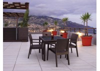 ΤΡΑΠΕΖΙ ΠΟΛΥΠΡΟΠΥΛΕΝΙΟΥ ΜΕ ΤΖΑΜΙ ΚΑΦΕ