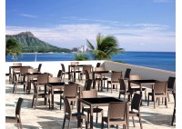 ΤΡΑΠΕΖΙ ΠΟΛΥΠΡΟΠΥΛΕΝΙΟΥ ΜΕ ΤΖΑΜΙ ΚΑΦΕ