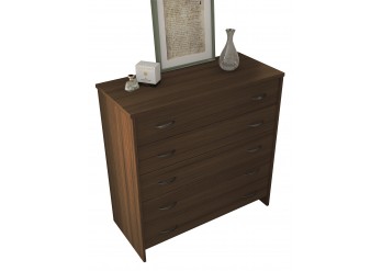 ΣΥΡΤΑΡΙΕΡΑ ΚΑΡΥΔΙ ΜΕ 5 ΣΥΡΤΑΡΙΑ