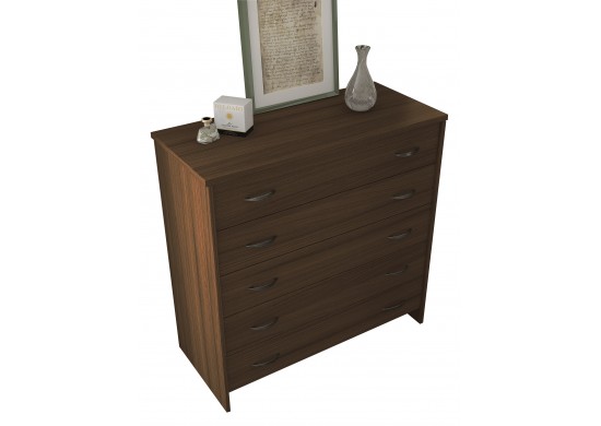 ΣΥΡΤΑΡΙΕΡΑ ΚΑΡΥΔΙ ΜΕ 5 ΣΥΡΤΑΡΙΑ