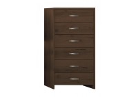 ΣΥΡΤΑΡΙΕΡΑ ΚΑΡΥΔΙ ΜΕ 6 ΣΥΡΤΑΡΙΑ