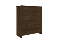 ΣΥΡΤΑΡΙΕΡΑ ΚΑΡΥΔΙ ΜΕ 6 ΣΥΡΤΑΡΙΑ