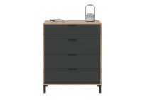 ΣΥΡΤΑΡΙΕΡΑ ΑΠΟΧΡΩΣΗ ΦΥΣΙΚΟ - ΑΝΘΡΑΚΙ