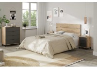 ΣΥΡΤΑΡΙΕΡΑ ΑΠΟΧΡΩΣΗ ΦΥΣΙΚΟ - ΑΝΘΡΑΚΙ