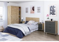 ΣΥΡΤΑΡΙΕΡΑ ΑΠΟΧΡΩΣΗ ΦΥΣΙΚΟ - ΑΝΘΡΑΚΙ