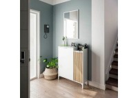 ΕΠΙΠΛΟ ΕΙΣΟΔΟΥ ΑΠΟΧΡΩΣΗ ΦΥΣΙΚΟ - ΛΕΥΚΟ ΜΕ ΚΑΘΡΕΠΤΗ