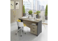 ΓΡΑΦΕΙΟ ΔΡΥΣ ALASKA - ΑΝΘΡΑΚΙ