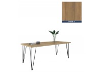 ΤΡΑΠΕΖΙ ΜΕ ΜΕΤΑΛΛΙΚΑ ΠΟΔΙΑ