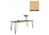 ΤΡΑΠΕΖΙ ΜΕ ΜΕΤΑΛΛΙΚΑ ΠΟΔΙΑ