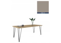 ΤΡΑΠΕΖΙ ΜΕ ΜΕΤΑΛΛΙΚΑ ΠΟΔΙΑ