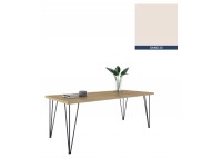 ΤΡΑΠΕΖΙ ΜΕ ΜΕΤΑΛΛΙΚΑ ΠΟΔΙΑ