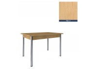 ΤΡΑΠΕΖΙ ΜΕ ΠΟΔΙ ΙΝΟΞ