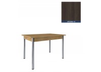 ΤΡΑΠΕΖΙ ΜΕ ΠΟΔΙ ΙΝΟΞ