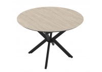 ΤΡΑΠΕΖΙ ΕΠΕΚΤΕΙΝΟΜΕΝΟ ΡΟΤΟΝΤΑ ΑΠΟΧΡΩΣΗ TRAVERTEN