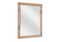 ΚΑΘΡΕΠΤΗΣ ΤΟΙΧΟΥ ΑΠΟΧΡΩΣΗ ΚΑΝΕΛΑ