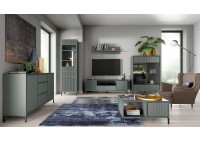 ΕΠΙΠΛΟ ΤΗΛΕΟΡΑΣΗΣ ΑΠΟΧΡΩΣΗ ΠΡΑΣΙΝΟ