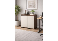 ΝΤΟΥΛΑΠΙ ΓΡΑΦΕΙΟΥ ΑΠΟΧΡΩΣΗ ΚΑΡΥΔΙ - ΜΠΕΖ